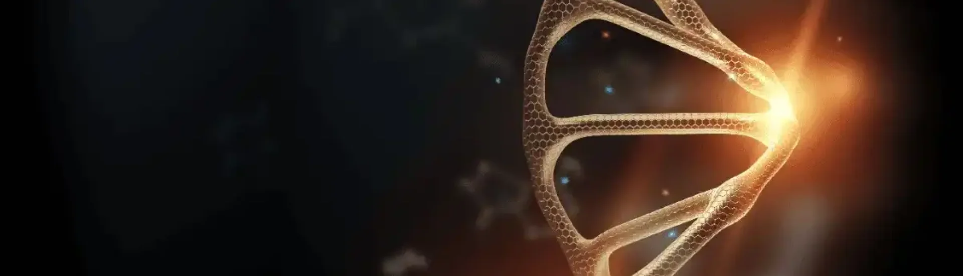 Symbiosis School of Biological Sciences