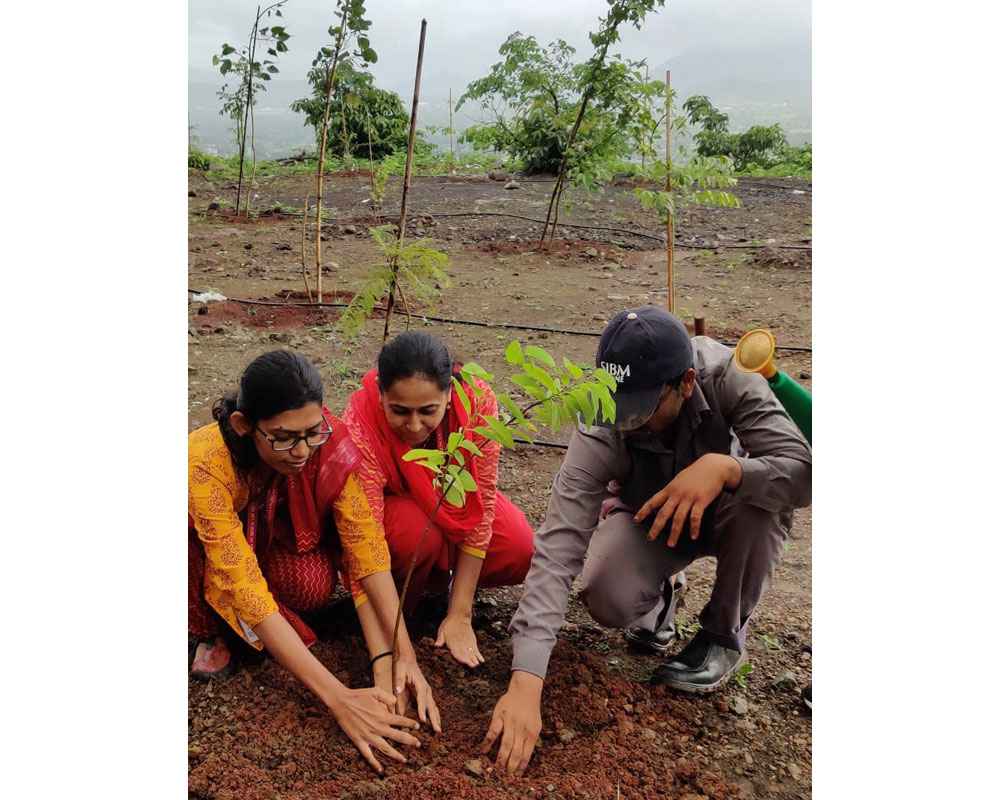 Tree Plantation - 25th July 2019